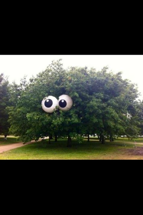 A couple of beach balls painted to look like eyeballs, attached to a tree. Diy Halloween Dekoration, Halloween Decor Diy, Hallowen Ideas, Halloween Memes, Beach Balls, Diy Halloween Decor, Theme Halloween, Halloween 2018, Beach Ball