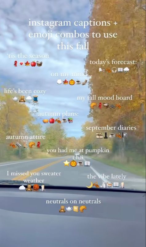 Words For Instagram Stories, Fall Emojis Aesthetic, Text For Post Instagram, Fall Caption Ideas For Instagram, Instagram Thank You Story Ideas, Aesthetic Things To Post On Instagram Story, Instagram Layout Captions, Cute Story Captions, Lapse Emoji Combos