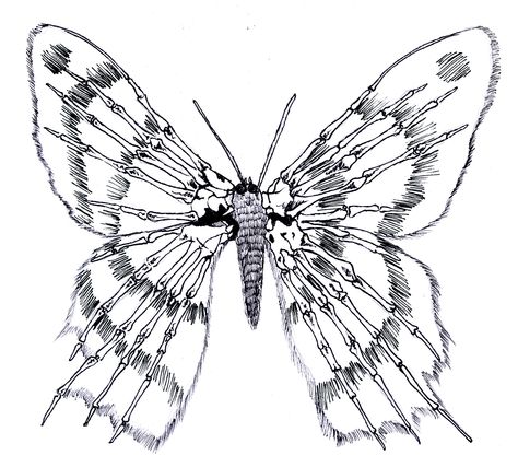 Fringe Butterfly Fringe Tattoo, Half Skeleton Butterfly Tattoo, Skeleton Butterfly Tattoo Design, Butterfly Bones Drawing, Skeleton With Butterfly Wings Tattoo, Fringe Butterfly, Butterfly Bones, Skeleton Butterfly, Bones Tattoo