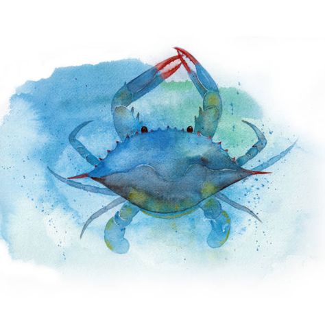 Blue Crab Watercolor, Crab Watercolor, Crab Art, Crab Print, Blue Crab, Fine Arts Posters, Art And Technology, Sea Life, Fine Art Painting