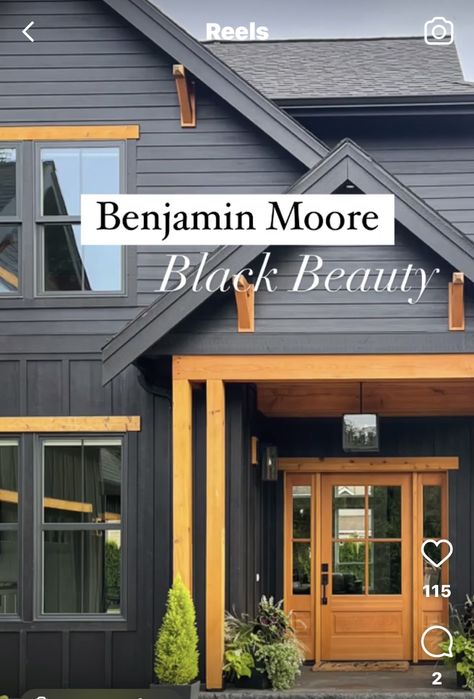 Black House Siding, Houses Painted Black, Moody Exterior House Colors, Dark Exterior Homes, Black Exterior House, Dark Exterior House Colors, Black Exterior Paint, Black Home Exterior, Exterior Paneling