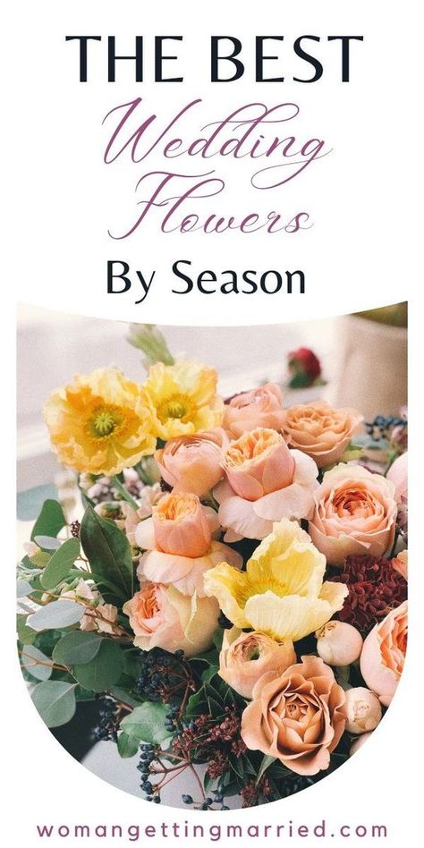 Weddings by Season - For a quick overview of what’s in season when, I’ve compiled a short list of popular wedding flowers by season and their wholesale price according to Fiftyflowers.com. While most flower wholesalers have year-round availability (like roses and orchids), some local florists may not, so be sure to check with yours to see what works best for your wedding date and budget. Flowers In Season In April, Type Of Flowers For Wedding, Flowers In May Season, Flowers In Season October, May Seasonal Flowers, April Seasonal Flowers, Fall Seasonal Flowers Wedding, Flowers In Season In August, Weddings With Colorful Flowers