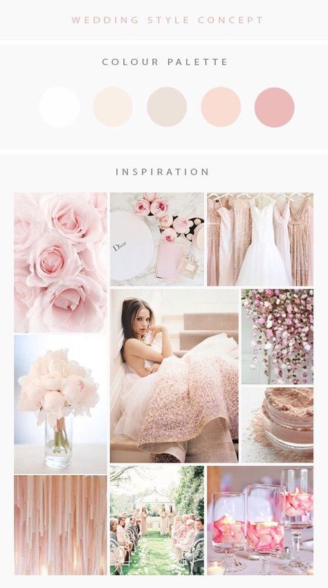 Champagne Pink Wedding Color Schemes, Delicate Pink Wedding, Ballet Pink Wedding Color Palettes, Blush Pink Color Palette Wedding, Blush Pink Wedding Palette, Pastel Pink Wedding Theme Colour Palettes, Light Pink Color Palette Wedding, Blush Pink Wedding Aesthetic, Elegant Color Palette Colour Schemes