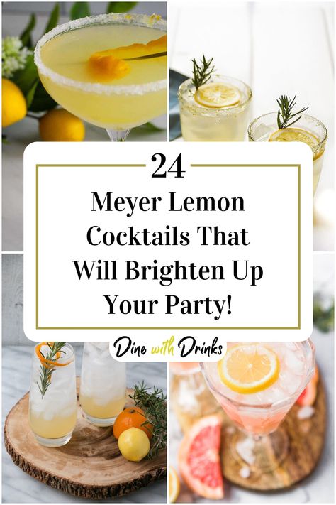 Collage of 4 meyer lemon cocktails. Meyer Lemon Cocktail, Lemon Drop Cocktail For A Crowd, Meyer Lemon Cocktail Recipes, Cocktails With Lemon, Lemon Juice Cocktail, Lemon Cocktail Recipes, Lemon Cocktails, Prosecco Cocktail Recipes, Meyer Lemon Recipes