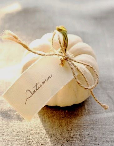 BELDECOR White Thanksgiving Decor, Autumn Whispers, Fall Inspiration, Fabulous Fall, Mini Pumpkins, Autumn Beauty, White Pumpkins, Thanksgiving Table, Happy Fall