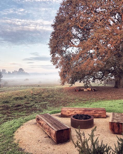 Timber Logs, Rustic Fire Pits, Fire Pit Ring, Fire Pit Landscaping, Fire Pit Furniture, Backyard Seating, Fire Pit Seating, Fire Pit Area, Bench Seating