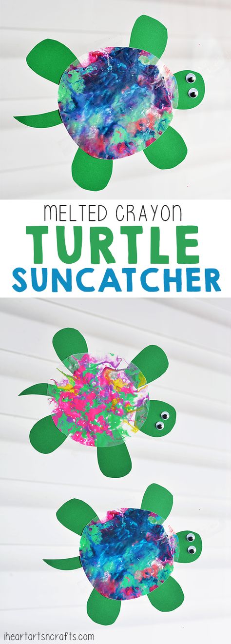 Summer Theme Art Projects For Kids, Preschool Turtle Craft, June Crafts For Preschoolers, Kindergarten Summer Crafts, August Kids Crafts, Turtle Crafts Preschool, Ocean Animal Activities, Turtle Suncatcher, Turtle Craft