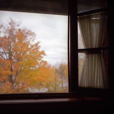 Quiet Storm, Hot Cider, Fall Time, Window View, Happy Fall Y'all, Fall For You, Through The Window, Best Seasons, In The Fall