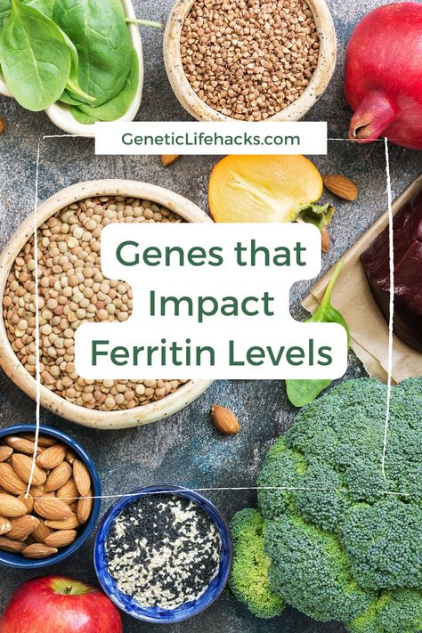 Ferritin is the storage protein for iron in the body. Storing too little or too much iron can be an indicator of an underlying problem. Discover the genetic variants that impact ferritin and how to increase ferritin with supplements or foods. How To Lower Ferritin Levels, High Ferritin Symptoms, Low Ferritin Levels, Increase Ferritin Levels, How To Increase Ferritin Levels, Ferritin Levels High, High Ferritin Levels, Low Ferritin Symptoms, Ferritin Deficiency