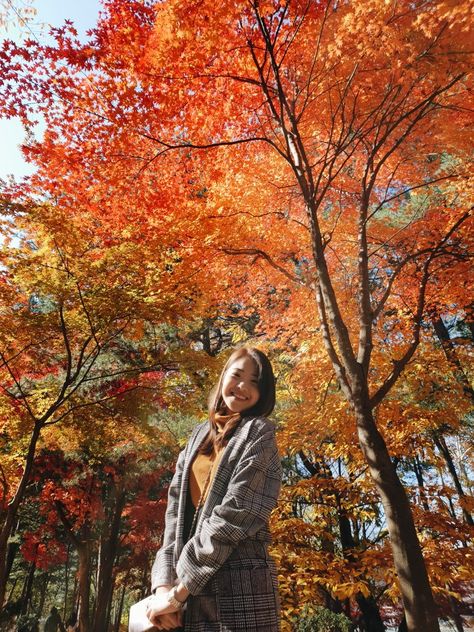 Nami Island Photo Ideas, Nami Island Autumn Outfit, Nami Island Outfit, Korea Famous Places, Baguio Photoshoot, Korean Autumn Outfits, Nami Island Autumn, Outfits For Korea, Korea Photo Ideas