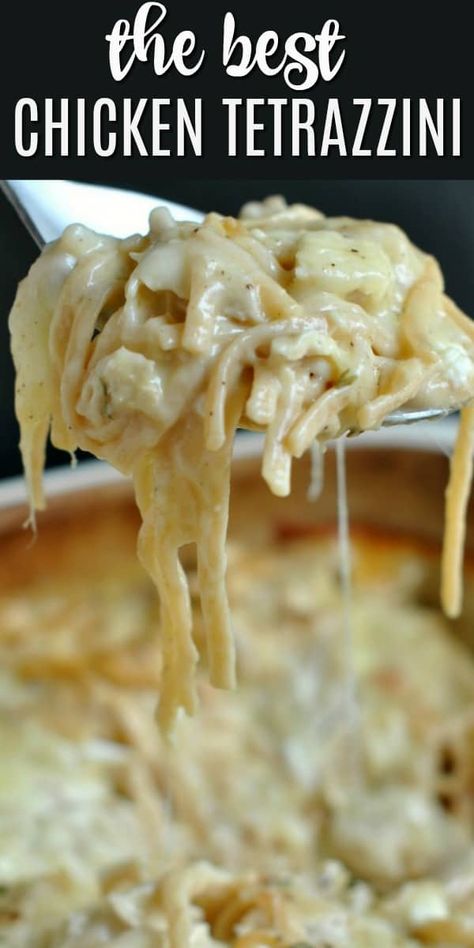 Creamy baked Chicken Tetrazzini recipe is the best weeknight dinner recipe your family will love! Easy and delicious. Pork Tetrazzini Recipe, Moms Dish Recipes, Buzz Feed Tasty Recipes, Add A Pinch Recipes, Restaurant Pasta Recipes, Dinner Ideas For 30 People, Easy Comfort Recipes, Small Chicken Casserole Recipes, Quick Meals For Dinner Chicken