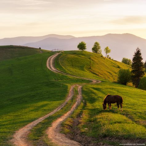 Carpathian mountings , W Ukraine, from Iryna Pretty Landscapes, Dirt Road, Alam Yang Indah, English Countryside, Nature Aesthetic, Pretty Places, الرسومات اللطيفة, A Horse, Ponies