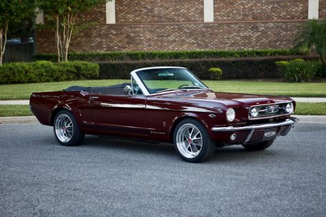 1966 Ford Mustang Convertible Cherry Red, Cherry Red Convertible, Burgundy Mustang, Vintage Convertible Cars, Burgundy Car, 1966 Mustang Gt, Mustang Gt Convertible, Vintage Convertible, Mustang 1966