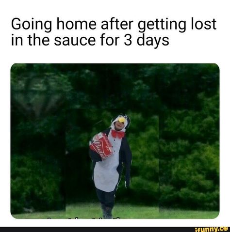 Found on iFunny Lost In The Sauce, Funny Hats, The Sauce, Anaconda, Going Home, Fun Fact, Popular Memes, Some Fun, I Laughed