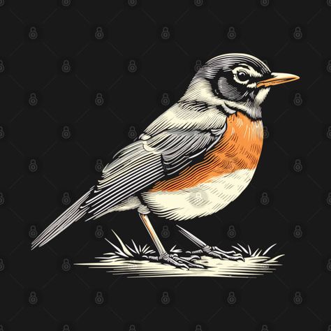 Check out this awesome 'Cute+little+American+robin+bird+nature+illustration' design on @TeePublic! American Robin Bird, American Robin, Robin Bird, Nature Illustration, Blue Jay, American Shirts, Grand Rapids, Kids Magnets, Cool Walls