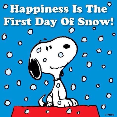 First snowfall Hello Kitty Imagenes, Snoopy Dog, First Day Of Winter, Peanuts Cartoon, Winter Quotes, Peanuts Characters, Snoopy Quotes, Peanuts Christmas, Snoopy Pictures