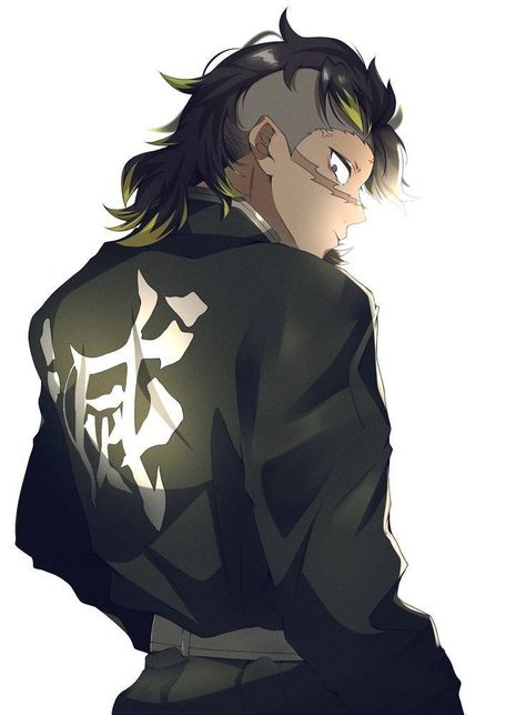 Genya Fanart, Genya Shinazugawa, My Story, Black Hair, Writing, On Twitter, Twitter, Hair, Anime