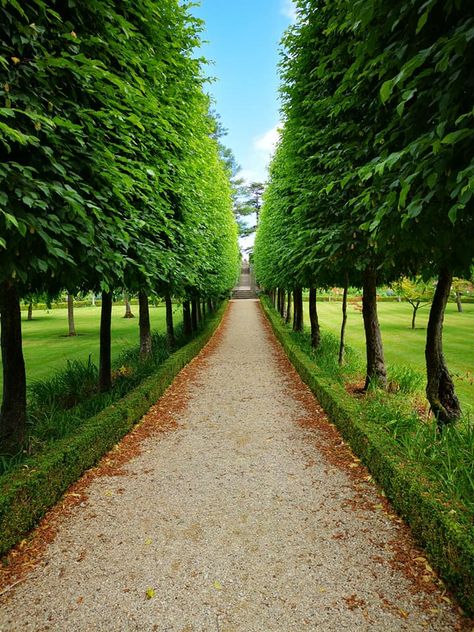 Avenue at Buscot Park.  Photography by Petra von Straks. Buscot Park, Park Photography, Country Roads, Road, Photography