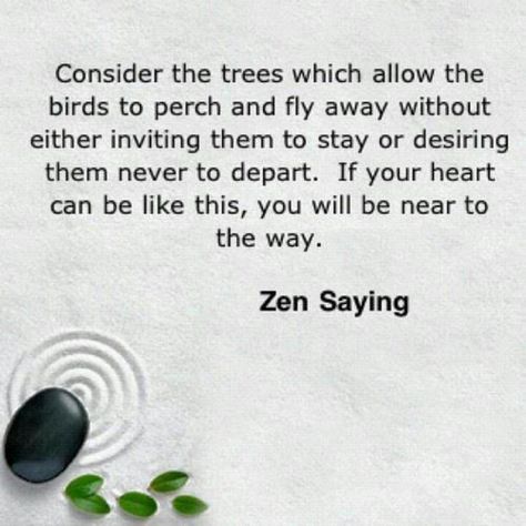 Trees Zen Proverbs, Power Thoughts, Zen Life, Zen Quotes, Mind Set, Zen Buddhism, Eckhart Tolle, Inspirational Quotes Pictures, Buddha Quotes