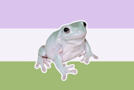 #pfp #icon #frog #cottagecore #aesthetic #queer #queericons #profilepics #profilepicture #profile #gender #genderqueer #trans #transgender Nonbinary Cottagecore, Genderqueer Aesthetic, Gender Queer Flag, Silly Aesthetic, Gender Queer, Gender Binary, Gender Flags, Lgbtq Funny, Lgbt Art