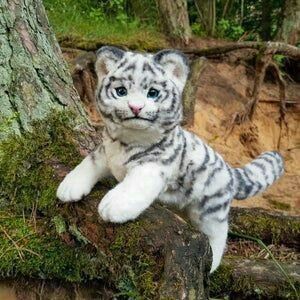 Cutest Animals On Earth, Cute Ferrets, Super Cat, Really Cute Dogs, Cute Wild Animals, White Tiger, Cute Animal Photos, Cute Animal Drawings, Animal Photo