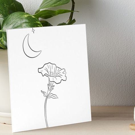 Simple Morning Glory Flower Drawing, Morning Glory Simple Drawing, Draw Morning Glory Flowers, Morning Glory Flowers Sketch, Morning Glory Line Art, Black And White Lines, Moon Flower, Velcro Dots, Mat Board