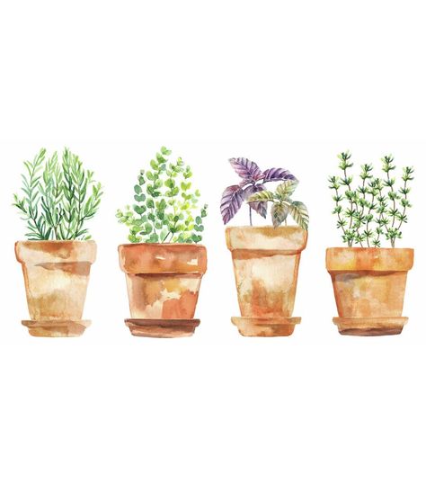 RoomMates Wall Decals Watercolor Potted Herbs | JOANN Watercolour Plants Simple, Magic Drawings, Herbs Wall, Potted Herbs, Watercolor Herbs, Herb Wall, Whimsical Watercolor, Watercolor Paintings For Beginners, Watercolour Paint