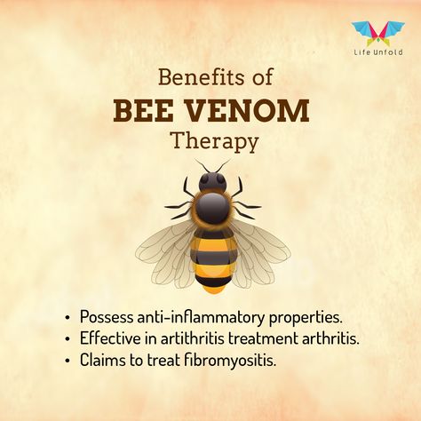 “Bee Venom Therapy” or “Apitherapy” has been practised over the thousands of years and the belief in its healing power was established by the ancient Greek therapists and Egyptians who came across its benefits of easing the pain of the people. #BeeTherapy #bees Bee Venom Therapy, Sticky Business, Honey Benefits, Bee Venom, Bee Farm, Cosmetics Industry, Bee Friendly, Skin Therapy, Anti Aging Beauty