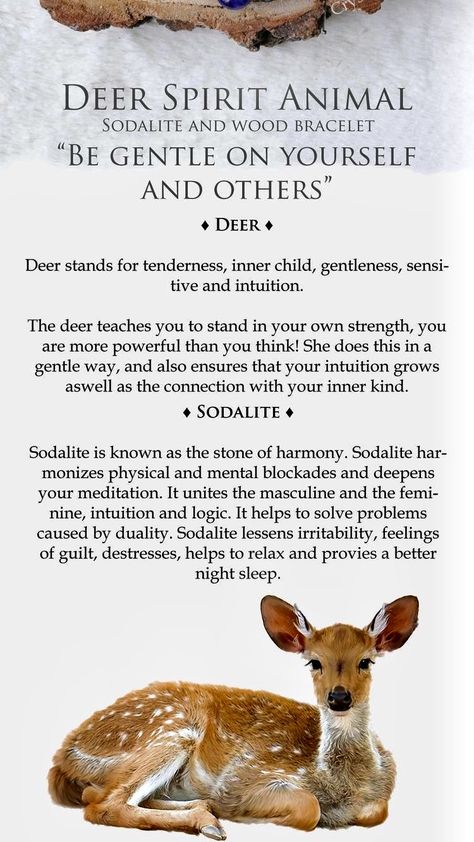 Stag Spirit Animal Meaning, Deer Spirit Animal Meaning, Stag Meaning, Spiritual Animal Meanings, Deer Meaning, Stag Spirit Animal, Deer Spirit Animal, Animal Tattoo Meanings, Animal Totem Spirit Guides