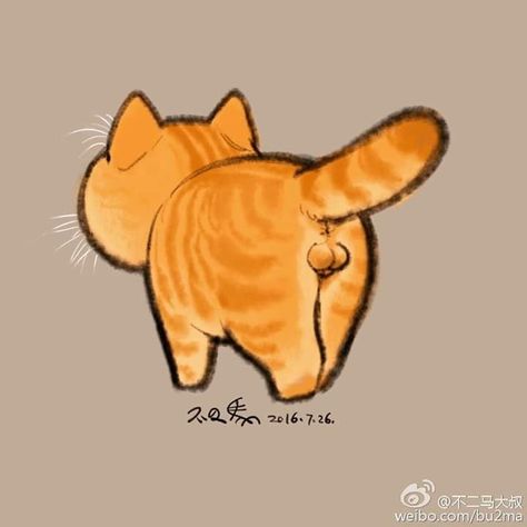 Source : @不二马大叔 Ginger Cat Art, Creating A Capsule Wardrobe, Wardrobe Revamp, Most Beautiful Cat, Cute Cat Drawing, Cat Tattoo Designs, Beautiful Cat Breeds, Orange Tabby Cats, Most Beautiful Cat Breeds