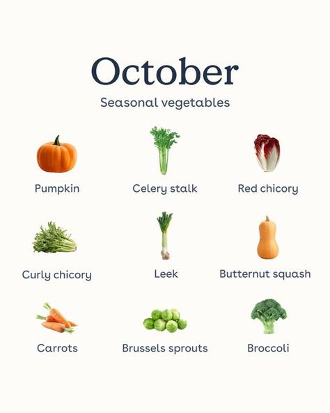 October Food, Endive Salad, Seasonal Vegetables, Bento Ideas, Fall Vegetables, Vegetable Seasoning, Comfort Foods, Eating Healthy, Leeks