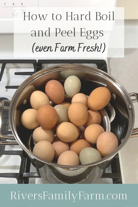 Have you ever wanted to know how to hard boil and peel eggs the easy way? Including farm fresh eggs? The method I’m sharing will give you perfect results so that you have perfectly peeled eggs every time. Boil Fresh Eggs, Hard Boil Fresh Eggs, Hard Boiled Eggs Easy Peel, Easy Hard Boiled Eggs, Peeling Hard Boiled Eggs, Homestead Kitchen, Farm Eggs, Farm Fresh Eggs, Delicious Breakfast Recipes