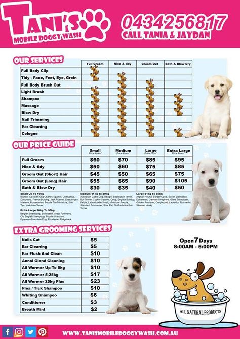 Grooming Price List, Groomer Humor, Grooming Salons, Pet Grooming Business, Grooming Ideas, Store Decoration, Grooming Business, Vet Medicine, Dog Grooming Salons