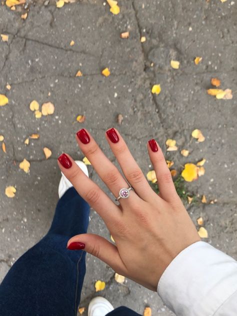 Shirt Red Nails, Red Shirt Nails, Shirt Square Nails, Square Nails Red, Nail Aesthetics, Beauty Maintenance, Russian Manicure, Red Russian, Girl Gang Aesthetic