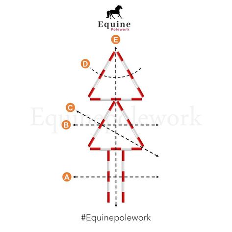 𝗣𝗼𝗹𝗲𝘄𝗼𝗿𝗸𝗶𝗻𝘀𝗽𝗼 - polework on Instagram: “Time for some Christmas themed exercises 🌲🎅 #gridwork #equinepolework #equine #horse #horseriding #equineexercise #equinepoles #pintrest…” Gridwork For Horses, Horse Pole Exercises, Polework Exercises Horse, Jumping Exercises For Horses, Pole Exercises, Riding Exercises, Horse Training Exercises, Horse Lessons, Course Ideas