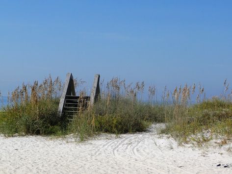 Mexico Beach Fl, Mexico Beach Florida, Usa Florida, The Dolphins, Mexico Beach, Visit Florida, Faux Finish, Coastal Beaches, Gulf Of Mexico