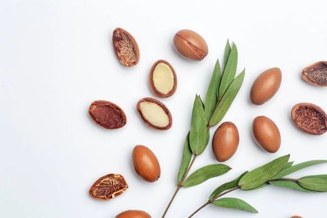 Is Argan Oil Safe for Cats? Vet Approved Health & Safety Facts | Hepper Argan Oil Benefits, Cat Vet, Plant Sterols, Argan Tree, Healthy Oils, Linoleic Acid, Essential Oil Fragrance, Eye Health, Tree Oil