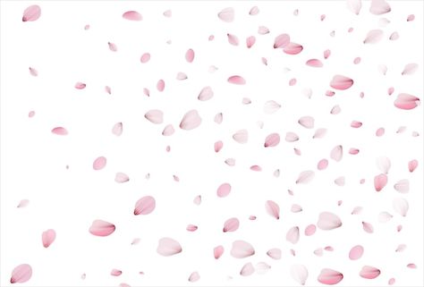 Cherry petals vector backdrop sakura pet... | Premium Vector #Freepik #vector #petals #japan-sakura #flower-petals #sakura Petals Background, Sakura Petals, Japan Sakura, Sakura Flower, Flower Petals, Premium Vector, Cherry Blossom, Graphic Resources, White Background