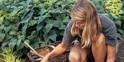 Vintage Photos of Martha Stewart | Martha Stewart Vegetable Greenhouse, Turkey Hill, Martha Stewart Home, Morning Hair, Future Farms, Martha Stewart Living, Garden Girls, Flower Gardens, Hot Tubs