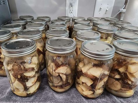 Homemade Dish Soap, Canning Potatoes, Dehydrating Food, Canned Potatoes, Fermented Pickles, Frozen Potatoes, Pressure Canning, Meals In A Jar, Russet Potatoes