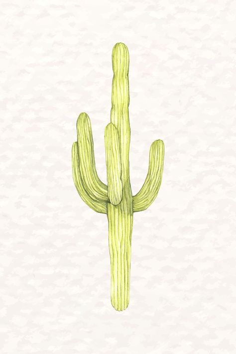 Saguaro Cactus Illustration, Saguaro Cactus Drawing, Saguaro Cactus Tattoo, Saguaro Tattoo, Cactus Outline, Desert Photos, Painting Cactus, 2023 Tattoo, Desert Scenes