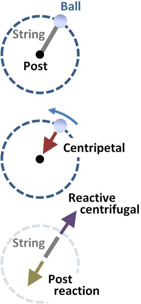 Uniform Circular Motion Physics, Circular Motion Physics, Motion Physics, Physics High School, Physics Lessons, Learn Physics, Centrifugal Force, Electric Circuit, Earth And Space Science