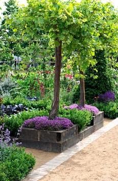 Timber Beds, Polished Nails, Garden Vines, Areas Verdes, Hampton Court Palace, Edible Landscaping, Urban Oasis, Raised Bed, Gorgeous Gardens