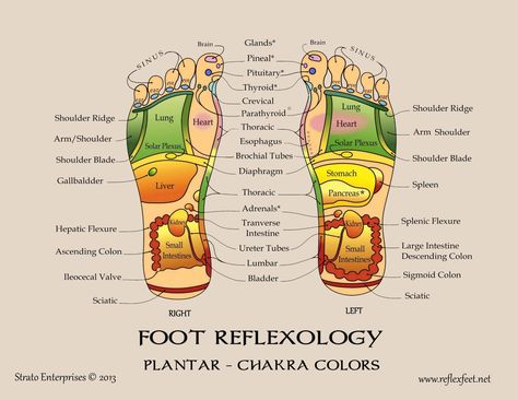 Reflexology foot chart, 2 sided, laminated, chakra colors. Made by Certified Reflexologist with 30+ years experience. Bottom of Foot (Plantar) on one side, and Top of Foot (Dorsal) on other side. Long lasting. Great reference chart. Good gift for reflexologists, massage therapists, podiatrists, energy workers.   Good gift for your clients. Reflexology Points, Sigmoid Colon, Reflexology Foot Chart, Hand Reflexology, Reflexology Chart, Acupressure Massage, Foot Reflexology, Chakra Colors, Reference Chart