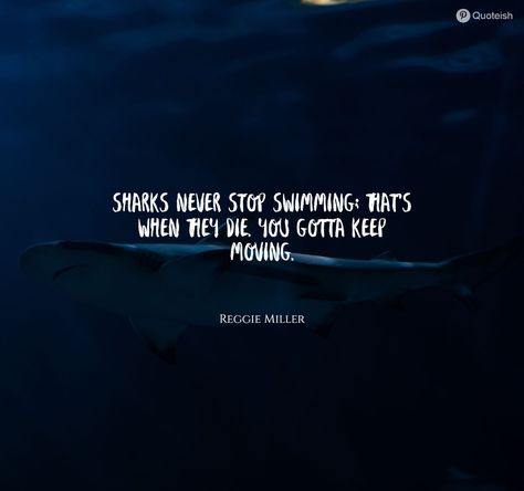 25+ Shark Quotes - QUOTEISH Be A Shark Quote, Shark Week Quotes, Whale Shark Quotes, Shark Quotes Funny, Shark Quotes Inspirational, Sharks Quotes, Jaws Quotes, Shark Sayings, Scuba Quotes