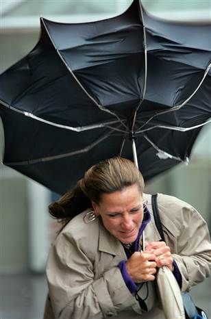 Wind Blowing, Weather News, Blowin' In The Wind, Rain Storm, I Love Rain, Umbrella Art, Stormy Weather, Walking In The Rain, Under My Umbrella