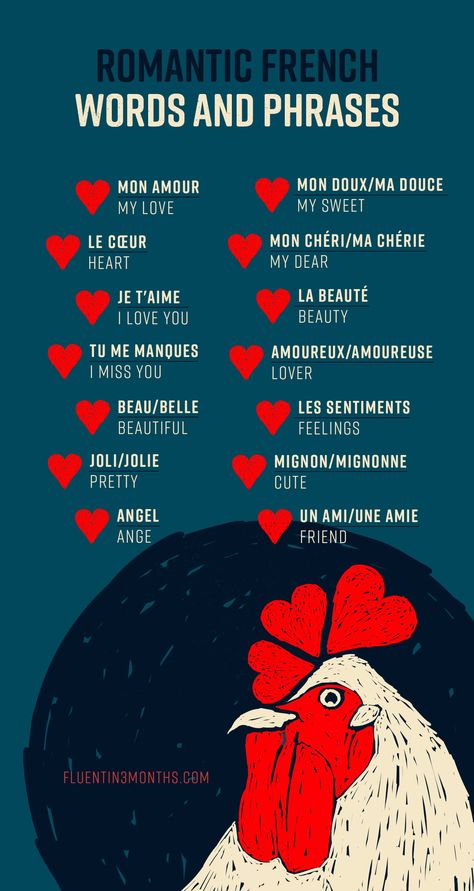 Share the love in French with this romantic vocabulary. Learn how to say "my love", "heart", and "beauty" among other words. My Love In French, Beautiful French Phrases, French Love Phrases, French Word For Love, Cute French Words, Romantic French Phrases, Love In Spanish, Love In French, Words In Different Languages