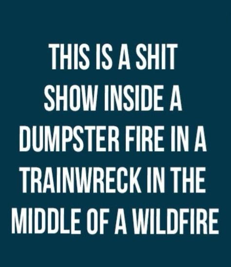 Cool Beans, Dumpster Fire, Funny Quotes Sarcasm, Sarcastic Quotes Funny, Work Humor, Work Quotes, Quotable Quotes, Sarcastic Humor, Sarcastic Quotes