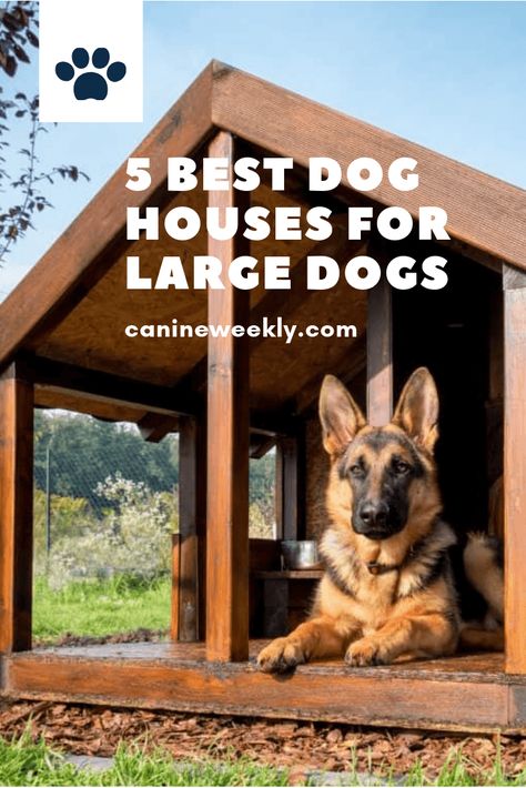 5 Best Dog Houses for Large Dogs. Learn how to select dog houses suitable for large breed dogs. Read here and find one that is perfect for your pup. #canineweekly #doghousesforlargedogs #bestdoghouseideas #housefordogs #dogshelteroutdoor Xl Dog House, Dog House Diy Outdoor, Large Dog House Plans, Cheap Dog Houses, Big Dog House, Large Breed Dogs, Build A Dog House, Large Dog House, Dog House Plans