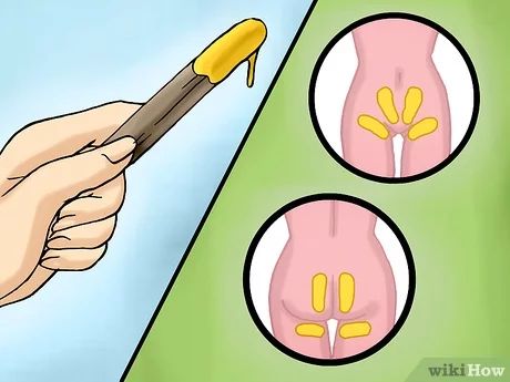 How to Wax Your Bikini Area at Home (with Pictures) - wikiHow Brazilian Wax At Home, Brazilian Wax Tips, Waxing Vs Shaving, Waxing Tips, Natural Hair Removal, Sugar Waxing, Waxing Kit, Body Hair Removal, Unwanted Hair Removal